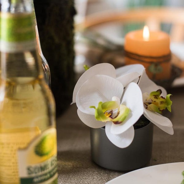 The Potted Orchid — White